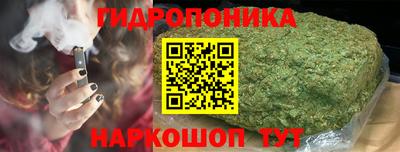 ешки Шелехов