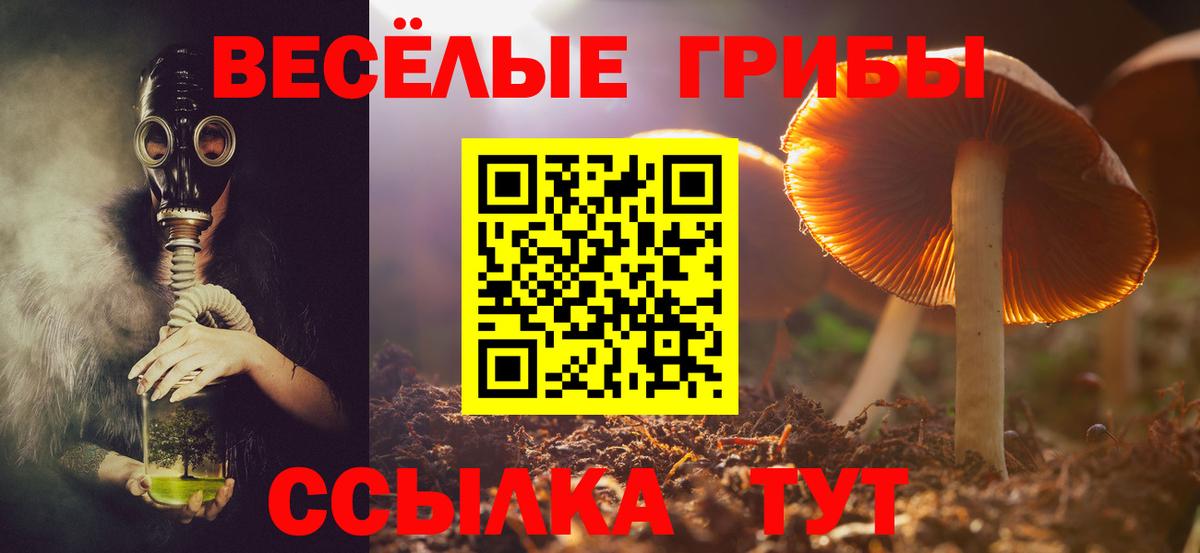 Богородск  Псилоцибиновые грибы мухоморы  Вход с VPN 